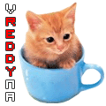 Reddy